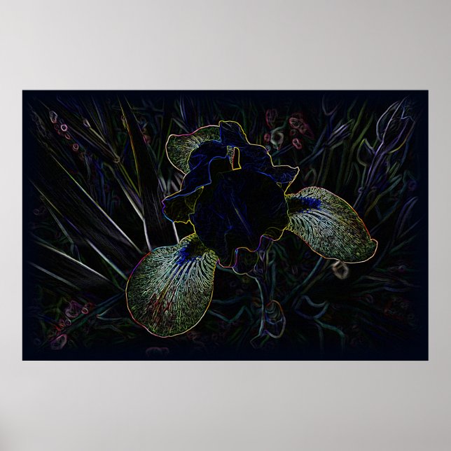 Glowing Iris Poster (Front)