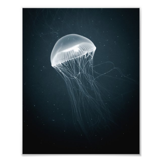 Glowing Jellyfish | Underwater Photography Photo Print (Front)