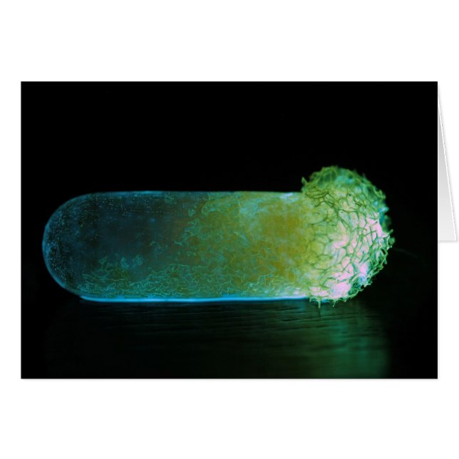 Glowing luminous pill (Front Horizontal)