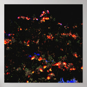 Glowing Mimosa Tree Poster