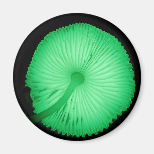 Glowing Mushrooms Magnet
