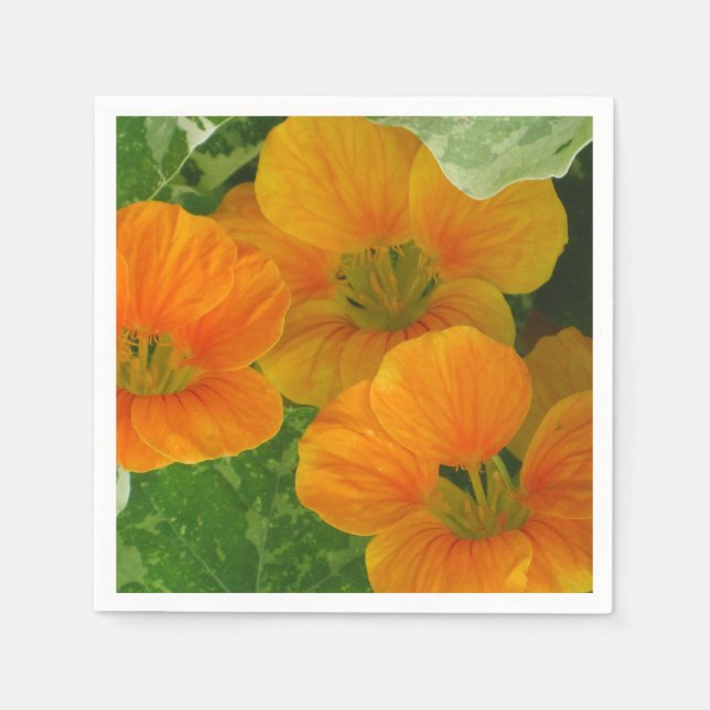 Glowing Nasturtium Paper Napkins (Front)