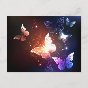 Glowing Night Butterflies Holiday Postcard