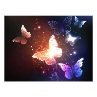 Glowing Night Butterflies