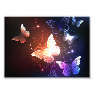Glowing Night Butterflies Photo Print