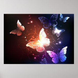 Glowing Night Butterflies Poster