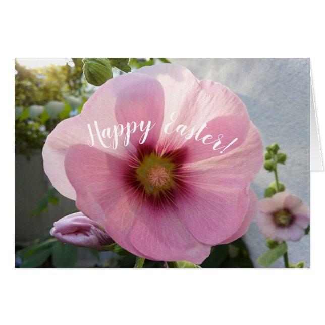 Glowing Pink Hollyhock Flower Easter Card (Front Horizontal)
