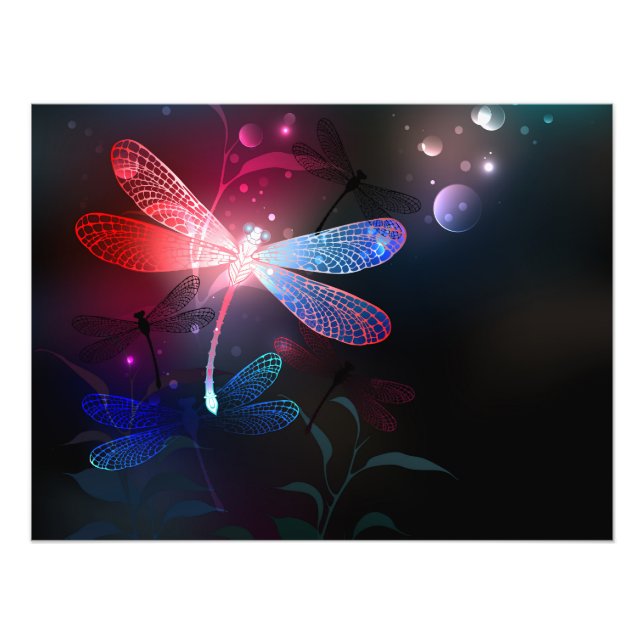 Glowing red dragonfly photo print (Front)