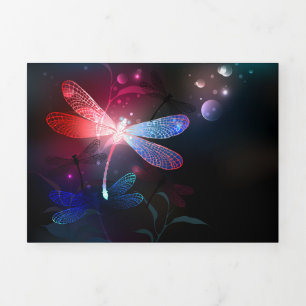 Glowing red dragonfly Tri-Fold programme