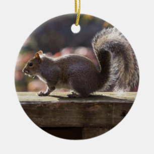 Glowing Squirrel Ceramic Tree Decoration