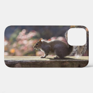Glowing Squirrel iPhone Case