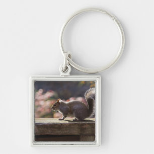 Glowing Squirrel Key Ring