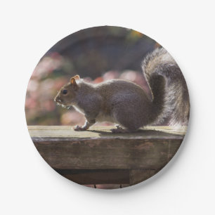 Glowing Squirrel Paper Plate