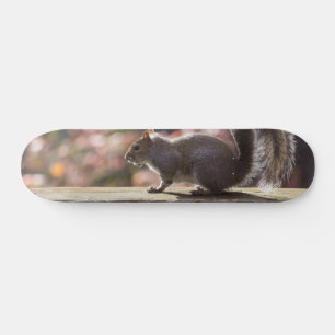 Glowing Squirrel Skateboard