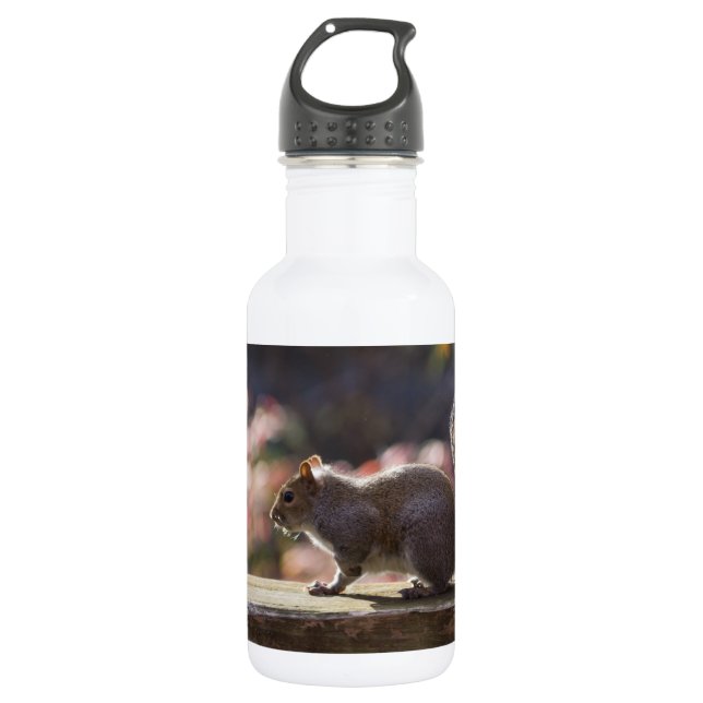 Glowing Squirrel Water Bottle (Front)