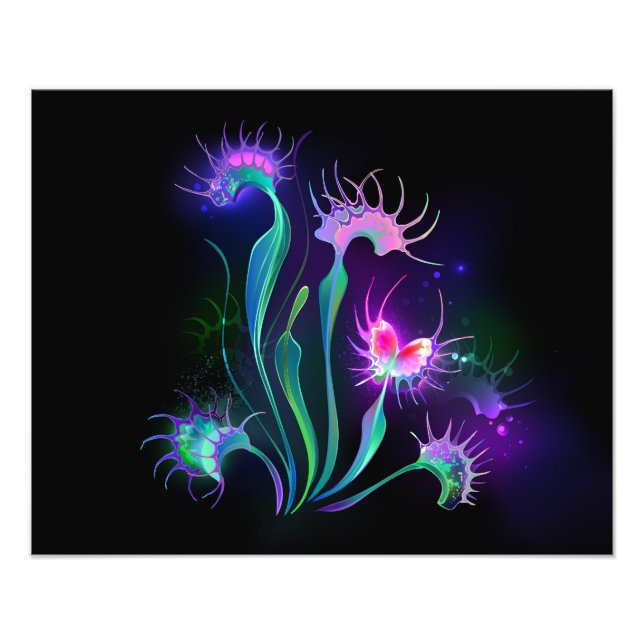Glowing Venus Flytrap Photo Print (Front)