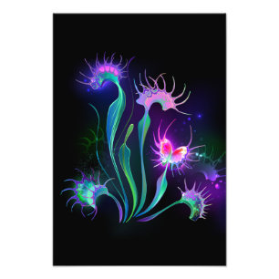 Glowing Venus Flytrap Photo Print
