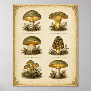 Glowing Vintage Mushroom Chart Cottagecore Botanic