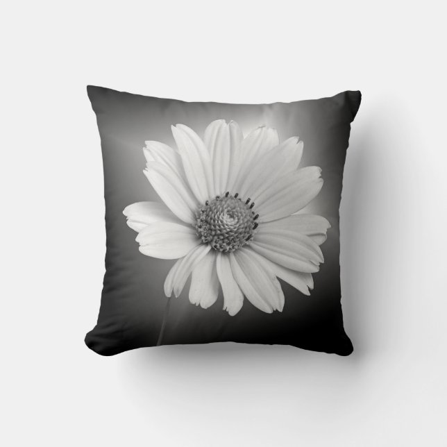 Glowing white daisy on black cushion (Front)