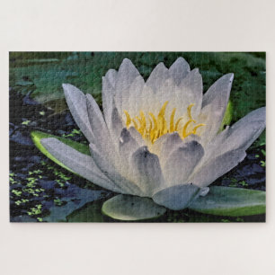 Glowing White Lotus flower  Jigsaw Puzzle
