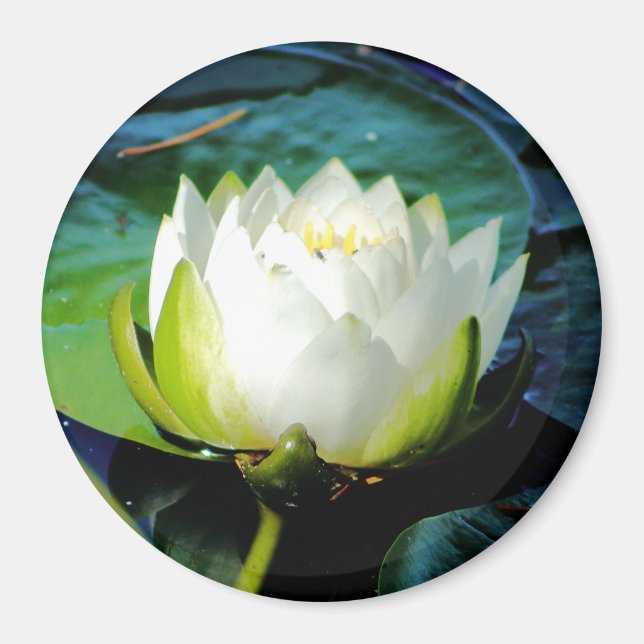 Glowing White Lotus Magnet (Front)