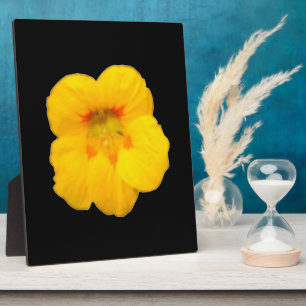 Glowing Yellow Nasturtium Plaque