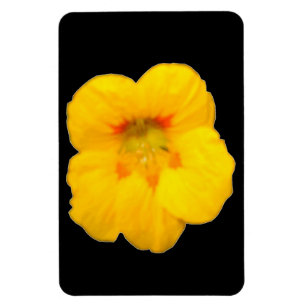 Glowing Yellow Nasturtium Premium Magnet