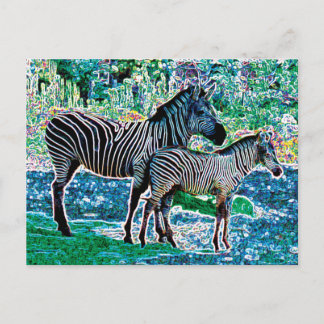 glowing zebras 01 postcard