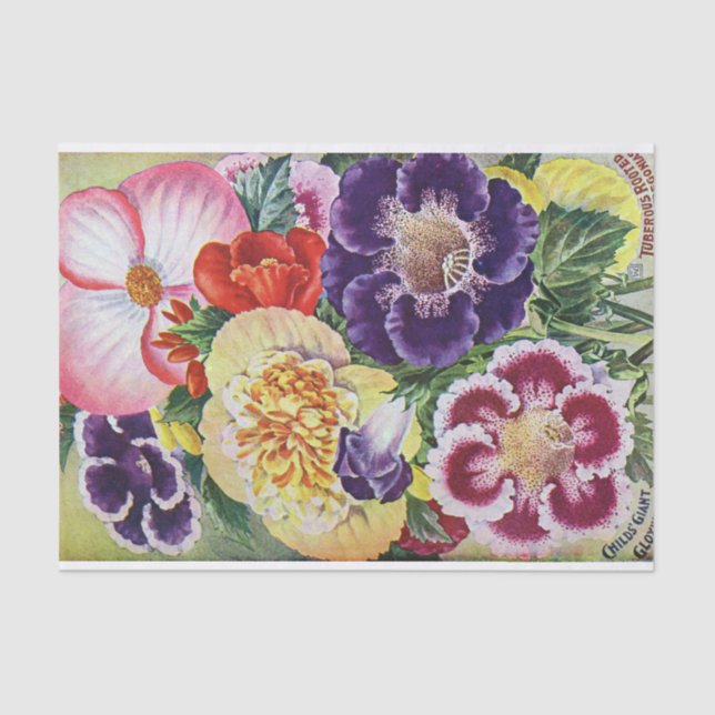 Gloxinias and Begonias Vintage Print Tissue Paper (Front)