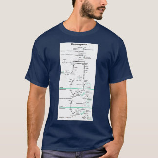 Gluconeogenesis biochemical pathway T-Shirt