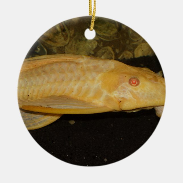 Glyptoperichthys gibbiceps ceramic tree decoration (Front)