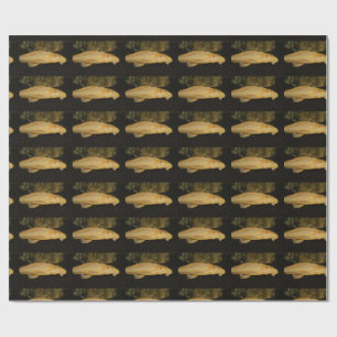 Glyptoperichthys gibbiceps wrapping paper