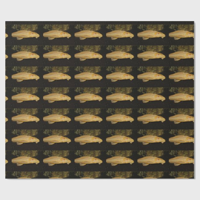 Glyptoperichthys gibbiceps wrapping paper (Flat)