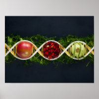 GMO Food and Genetically Modified Crops