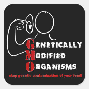 GMO Genetically Modified Organisms are crazy Square Sticker