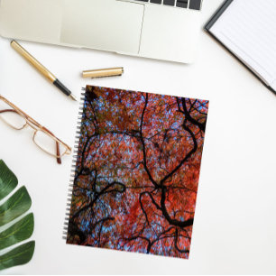 Gnarly Autumn Japanese Maple Tree Branches Photo Notebook