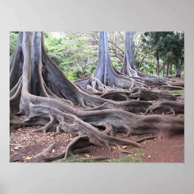 Gnarly Flow Poster (Front)