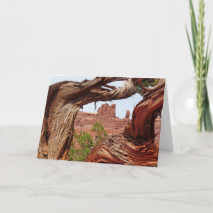 Gnarly Tree All Occasion Southwest Photo Greeting Card