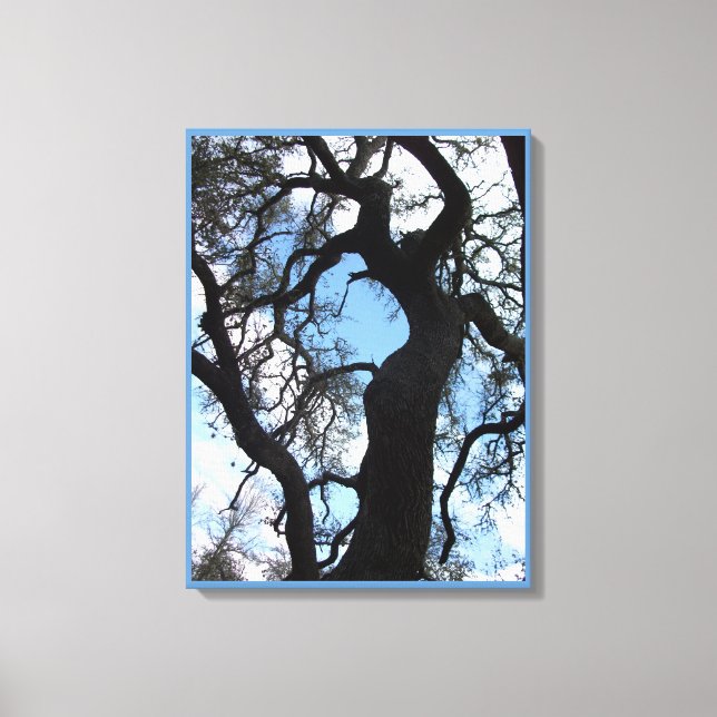 Gnarly Tree Photo Canvas Print (18X24) (Front)