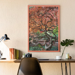Gnarly Twisted Japanese Maple Tree Poster