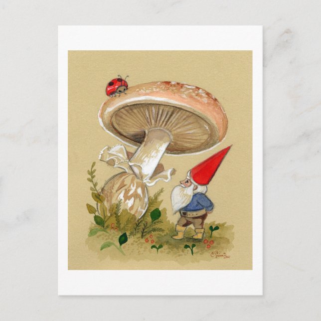 Gnome find a Ladybug and Mushroom Postcard (Front)
