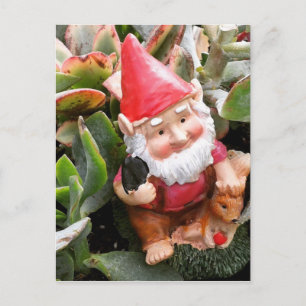 Gnome hiding in the succulents postcard