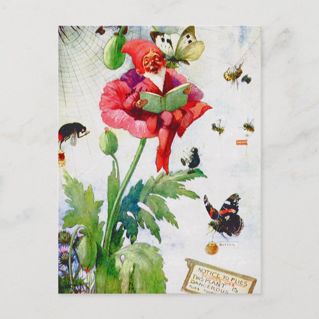 Gnome in a poppy flower postcard (Front)