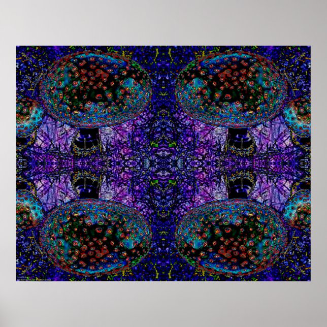 "Go Ask Alice" Abstract Psychedelic Mushroom Art Poster (Front)