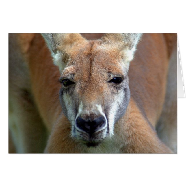 go away (Front Horizontal)