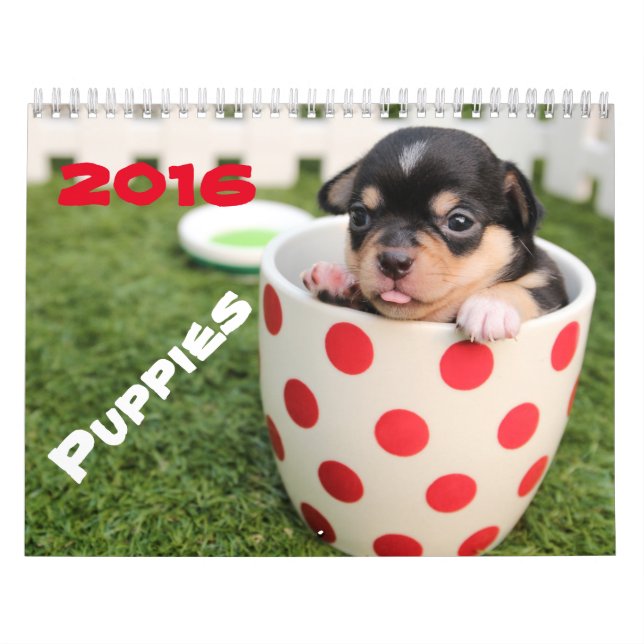 Go Cute ~ Go Puppy 2016 Calendar (Cover)