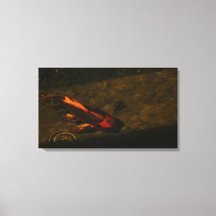 Go Fish! Canvas Print