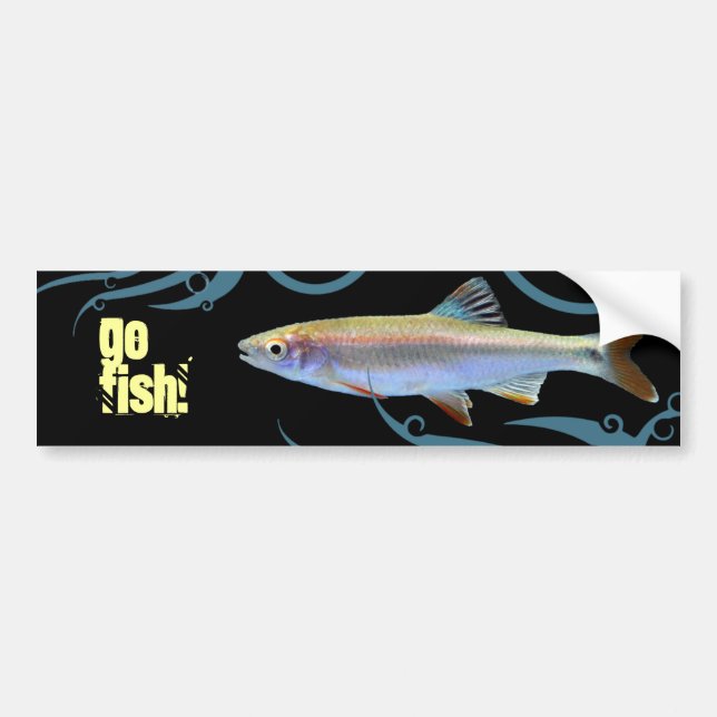 Go Fish! Shiner Minnow Bumper Sticker (Front)