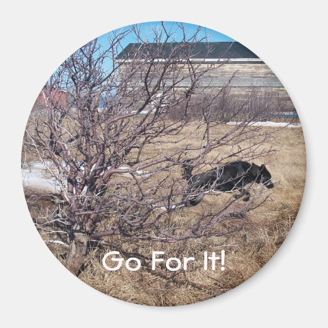 Go For It! Magnet (Front)