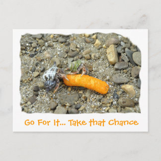 Go For It... Take that Chance Postcard